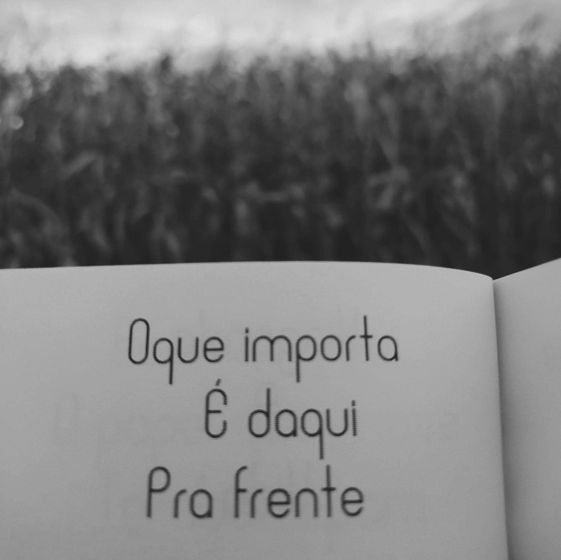 Poema: O que importa é daqui pra frente